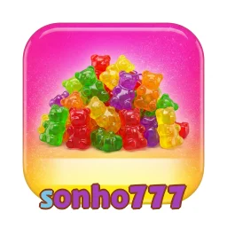 sonho777